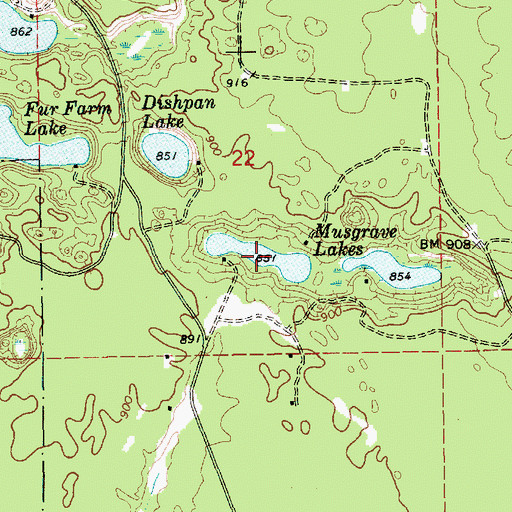 Topographic Map of Musgrave Lakes, MI