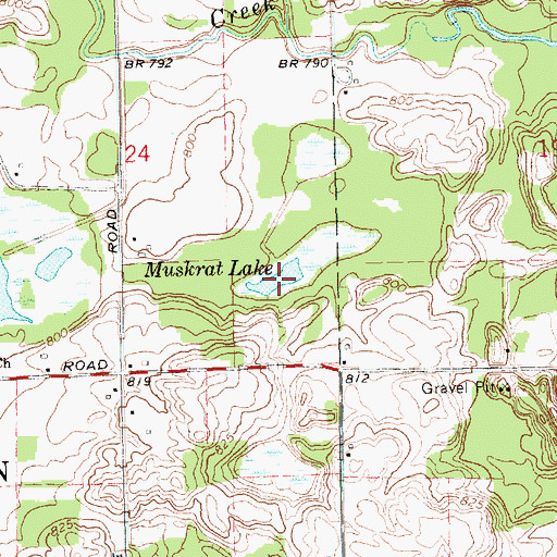 Topographic Map of Muskrat Lake, MI