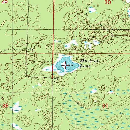 Topographic Map of Muskrat Lake, MI