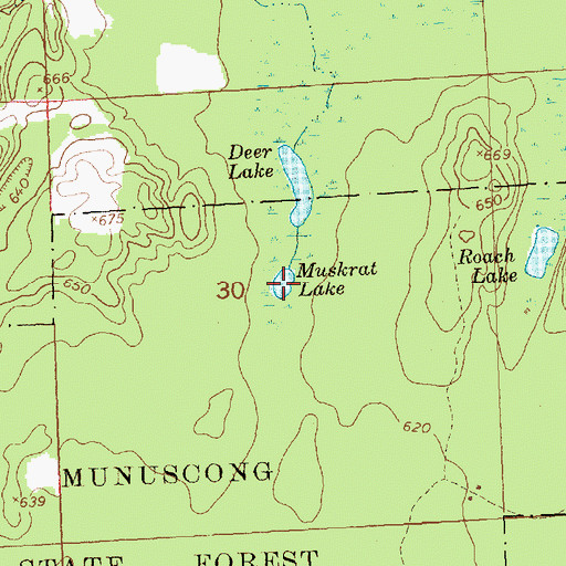 Topographic Map of Muskrat Lake, MI