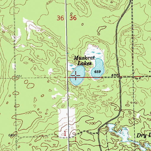 Topographic Map of Muskrat Lakes, MI