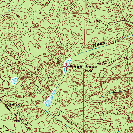 Topographic Map of Nash Lake, MI