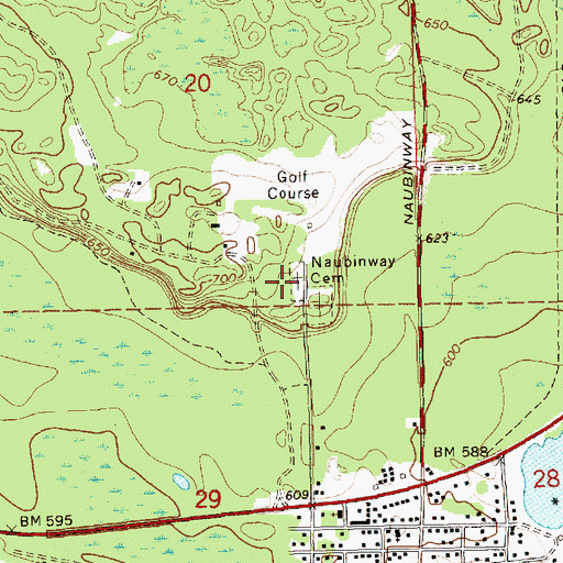 Topographic Map of Naubinway Cemetery, MI