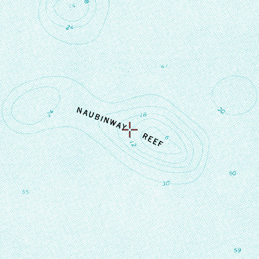 Topographic Map of Naubinway Reef, MI