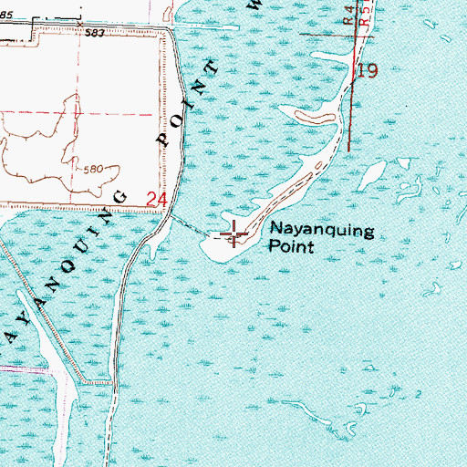 Topographic Map of Nayanquing Point, MI