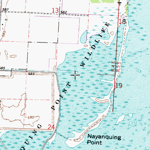 Topographic Map of Nayanquing Point Wildlife Area, MI