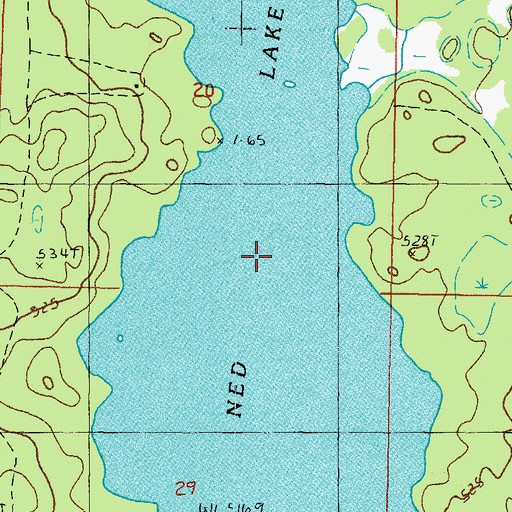 Topographic Map of Ned Lake, MI