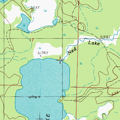 Topographic Map of Ned Lake Creek, MI
