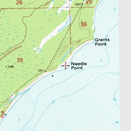 Topographic Map of Needle Point, MI