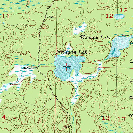 Topographic Map of Nelligan Lake, MI