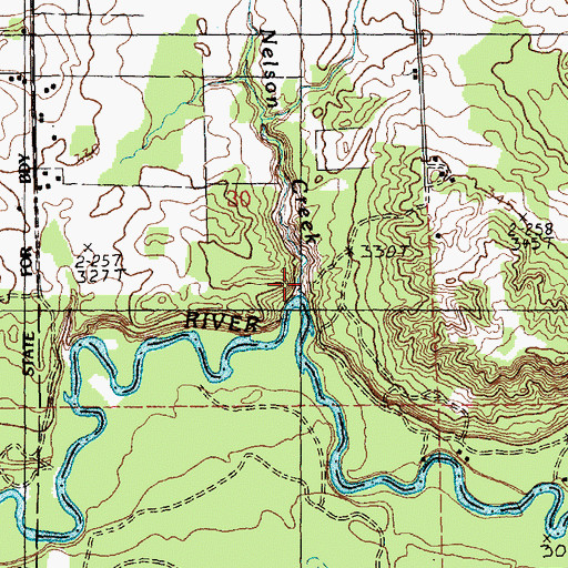 Topographic Map of Nelson Creek, MI