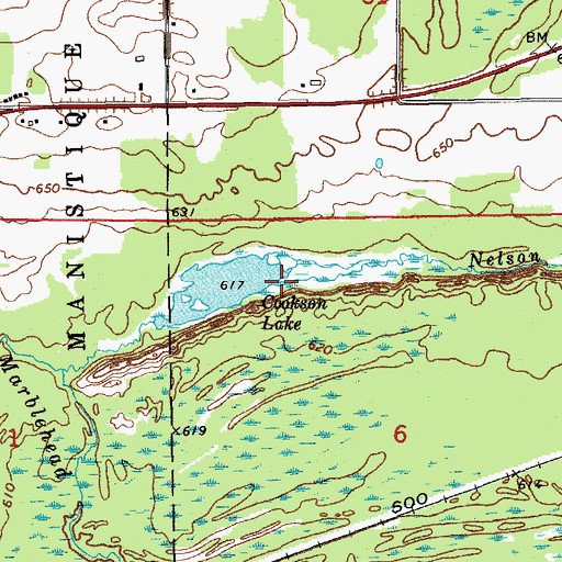 Topographic Map of Nelson Creek, MI