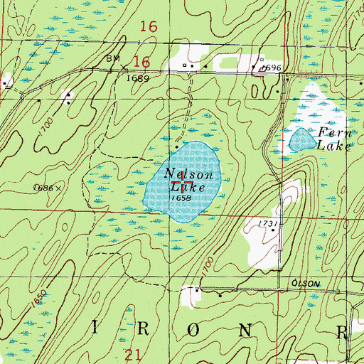 Topographic Map of Nelson Lake, MI