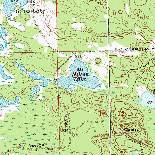 Topographic Map of Nelson Lake, MI
