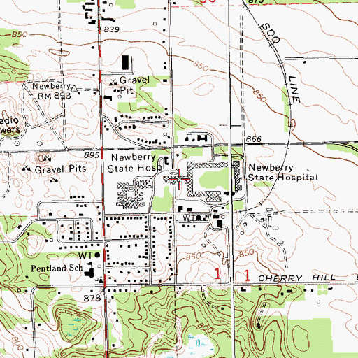 Topographic Map of Newberry State Hospital, MI
