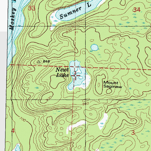 Topographic Map of Newt Lake, MI