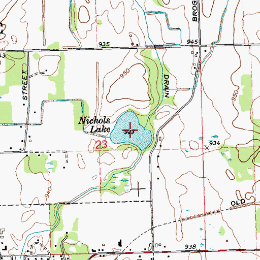 Topographic Map of Nichols Lake, MI