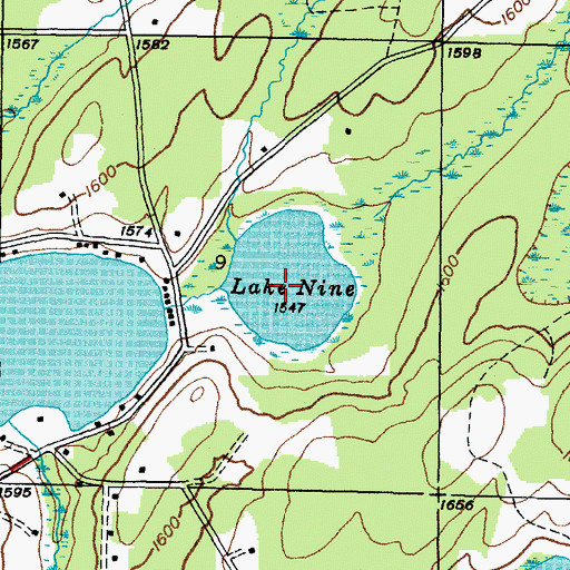 Topographic Map of Lake Nine, MI