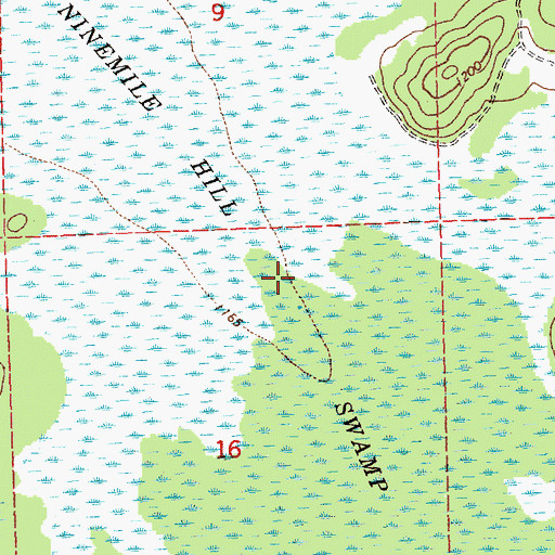 Topographic Map of Ninemile Hill Swamp, MI