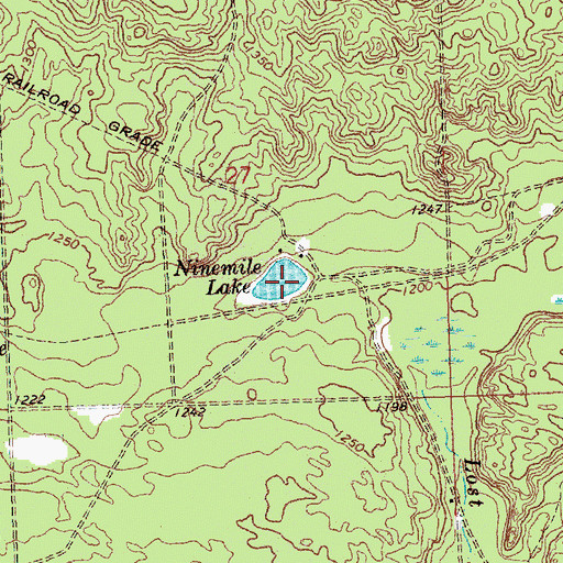 Topographic Map of Ninemile Lake, MI