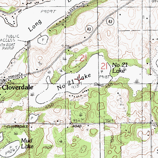 Topographic Map of Number Twenty-one Lake, MI