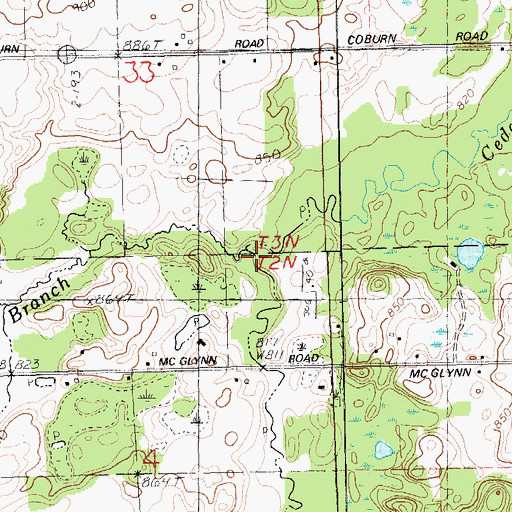 Topographic Map of North Branch Cedar Creek, MI