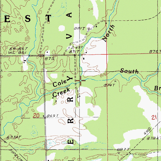 Topographic Map of North Branch Cole Creek, MI