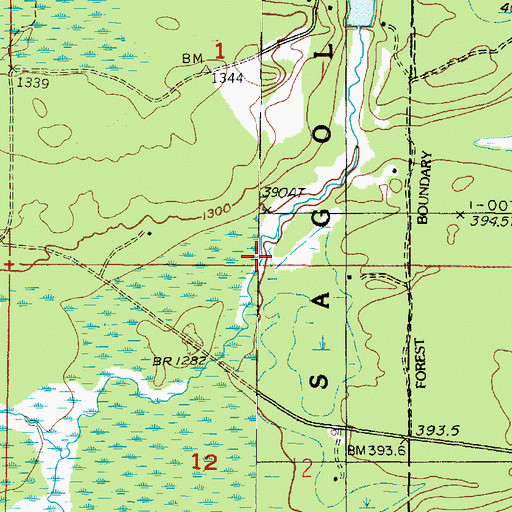 Topographic Map of North Branch Sturgeon River, MI