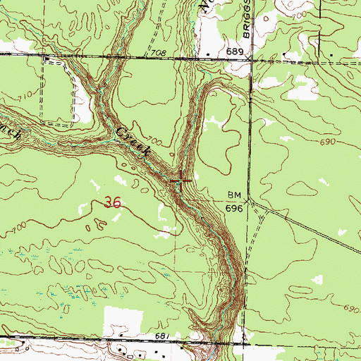 Topographic Map of North Branch Townline Creek, MI