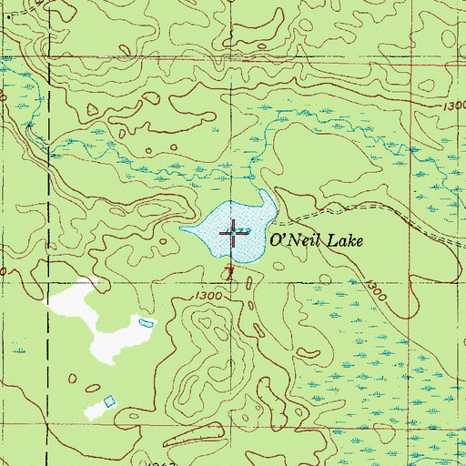 Topographic Map of O'Neil Lake, MI
