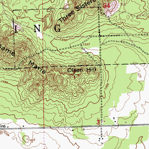 Topographic Map of Olsen Hill, MI