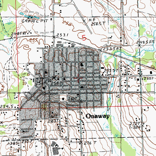 Topographic Map of Onaway, MI