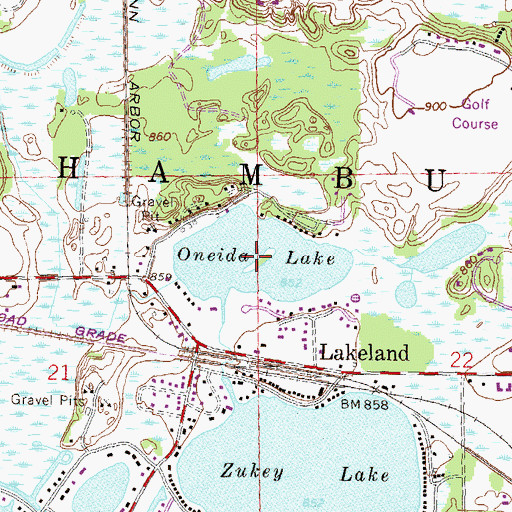Topographic Map of Oneida Lake, MI