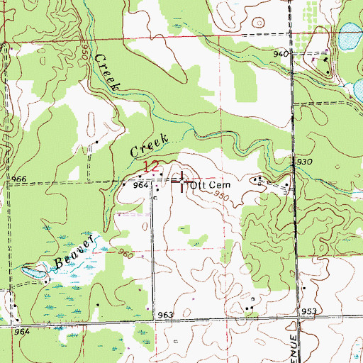 Topographic Map of Ott Cemetery, MI