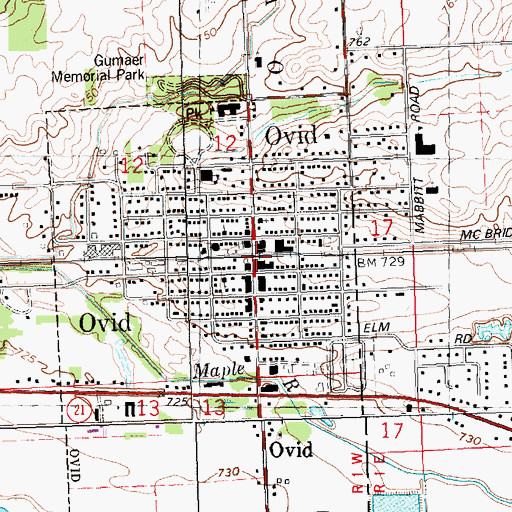 Topographic Map of Ovid, MI