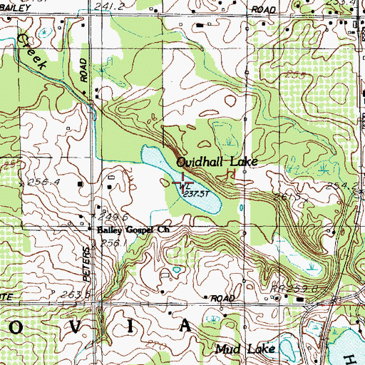 Topographic Map of Ovidhall Lake, MI