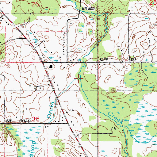 Topographic Map of Paddison Drain, MI