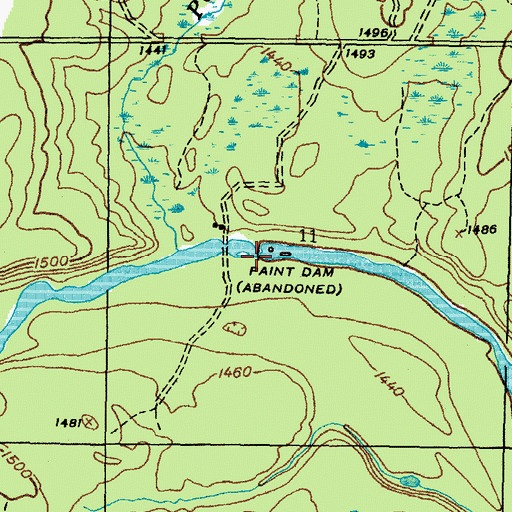 Topographic Map of Paint Dam, MI