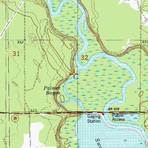 Topographic Map of Palmer Bayou, MI