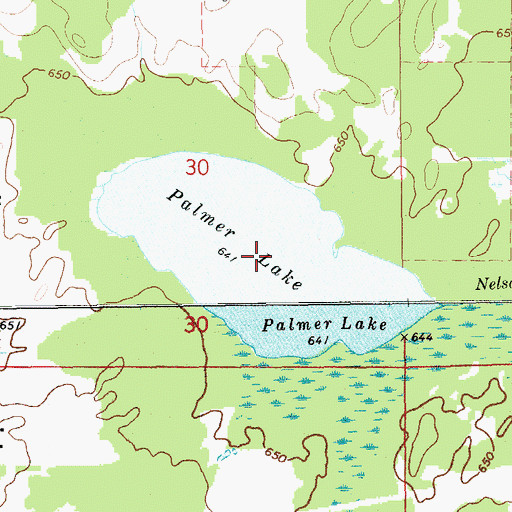 Topographic Map of Palmer Lake, MI