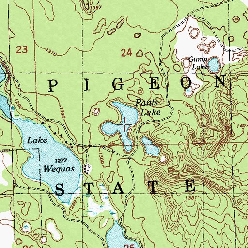 Topographic Map of Pants Lake, MI