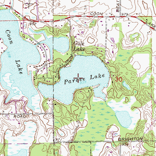 Topographic Map of Pardee Lake, MI