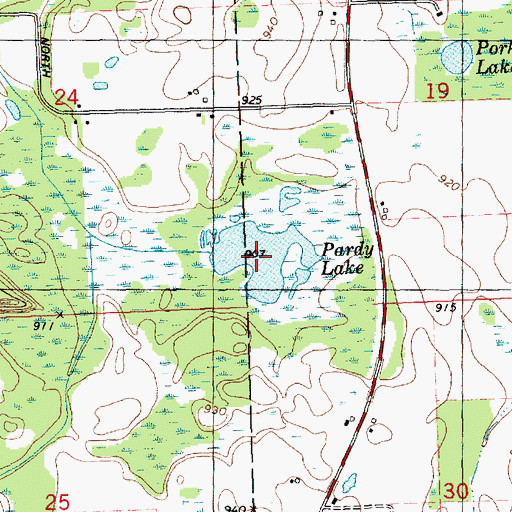 Topographic Map of Pardy Lake, MI