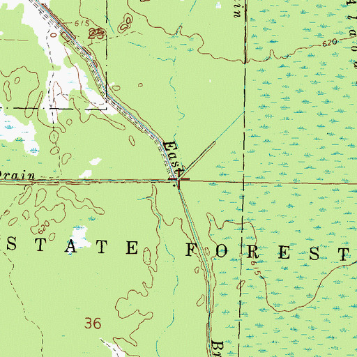 Topographic Map of Parent Drain, MI