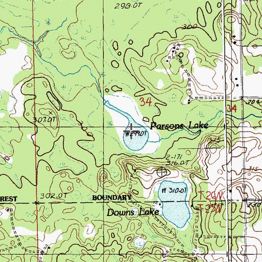 Topographic Map of Parsons Lake, MI