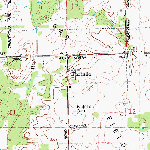 Topographic Map of Partello, MI