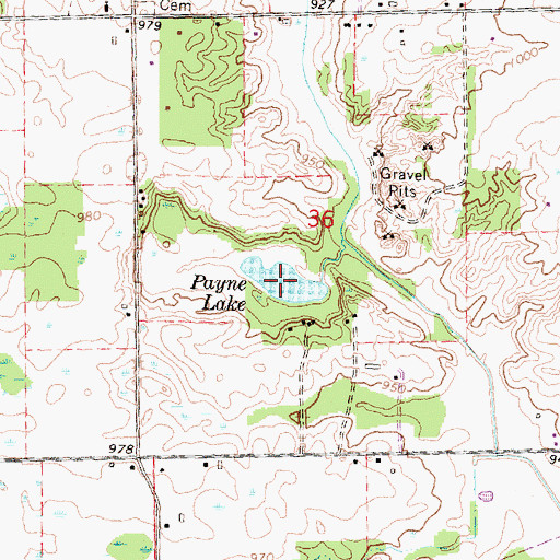 Topographic Map of Payne Lake, MI
