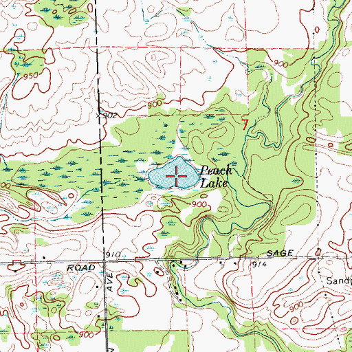 Topographic Map of Peach Lake, MI