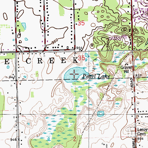 Topographic Map of Pearl Lake, MI