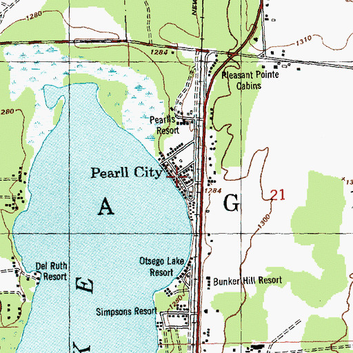 Topographic Map of Pearll City, MI